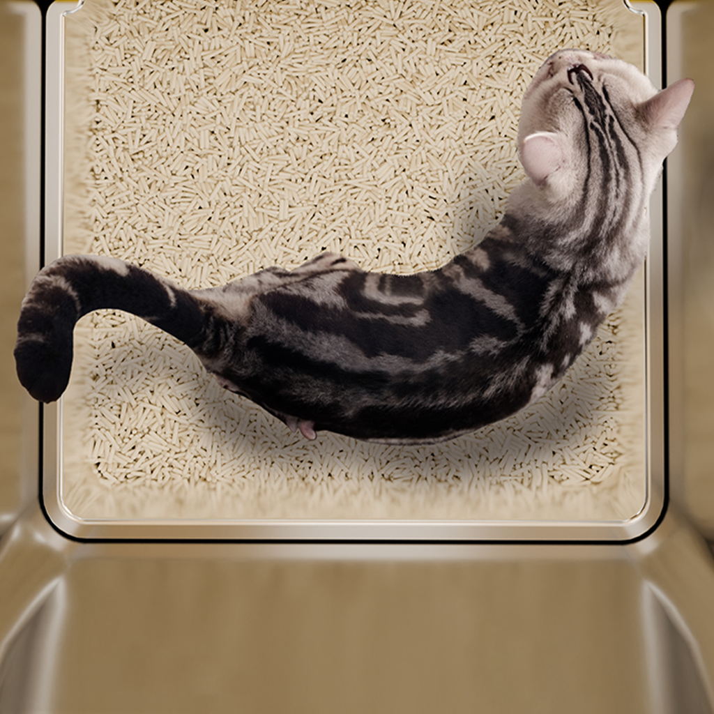 Stainless Steel Litter Box – S5 Hygienic & Easy to Clean