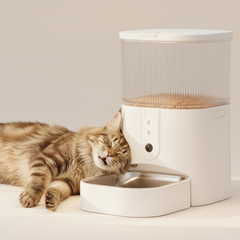 Automatic Cat Feeder with Camera – SmartView X42